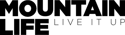 Article 4 logo